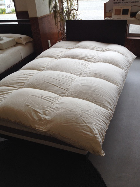 {E086C016-DD78-4E54-8EFA-9A49A1E49837:01}