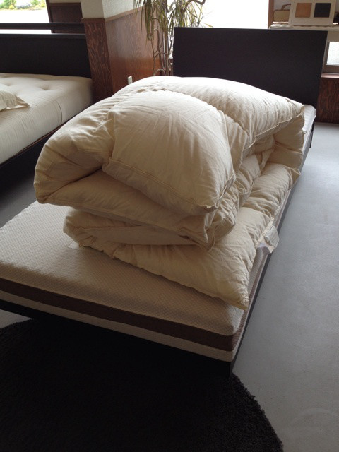 {2AB64D8C-73CE-4409-B922-4FB1AF05D96D:01}