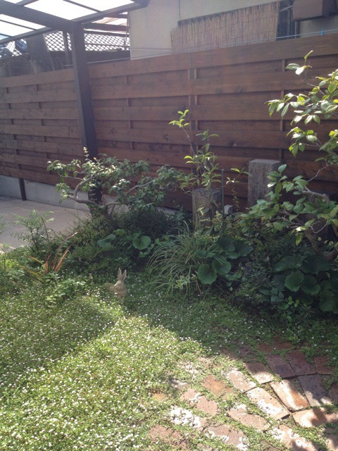 {2A38AA11-540D-4B79-9EDA-C88878027BCC:01}