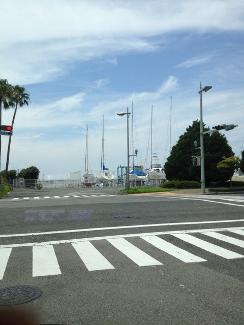 {7F9E2414-5567-4CEB-ADD1-A6F14A0E2F1C:01}