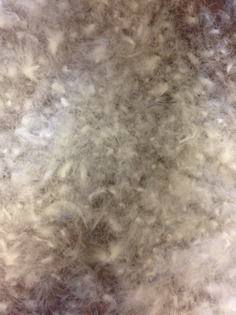 {592F7E69-4966-467E-832D-D03BDE5C50AA:01}