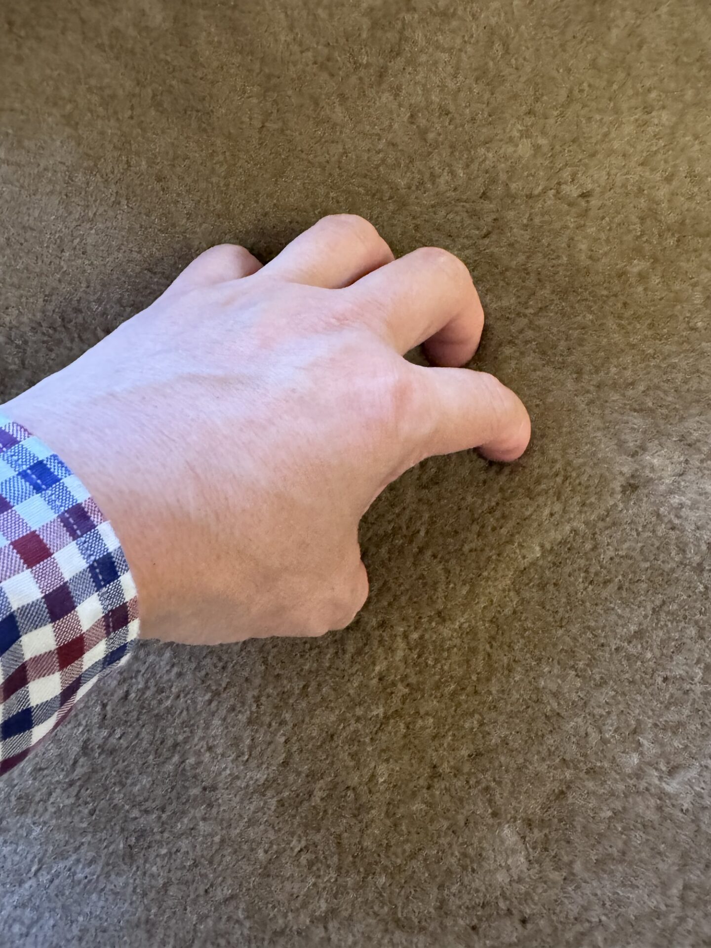 ムートンは冬だけの寝具ではありません